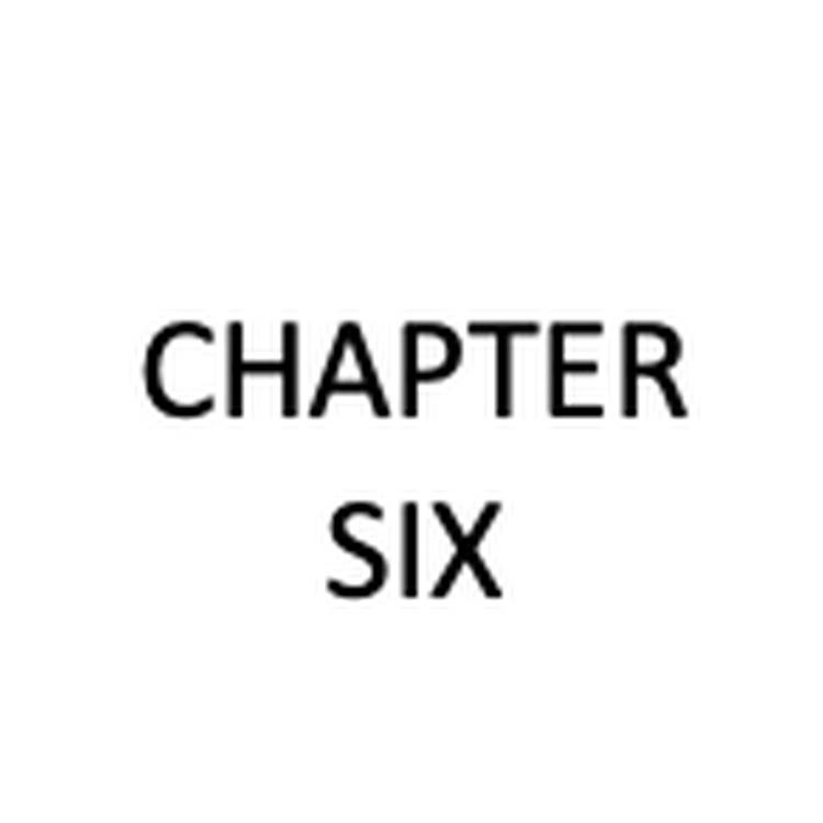 CHAPTER SIX