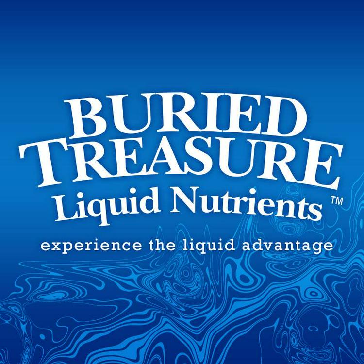 BURIED TREASURE
