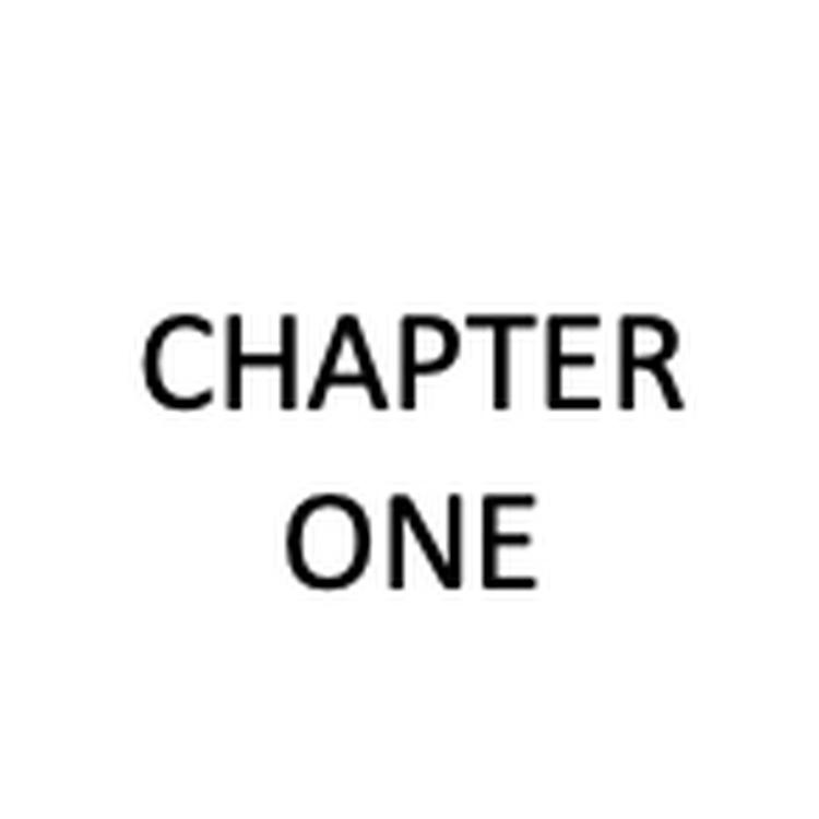 CHAPTER ONE