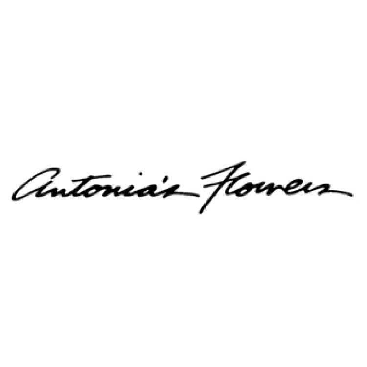 ANTONIA`S FLOWERS