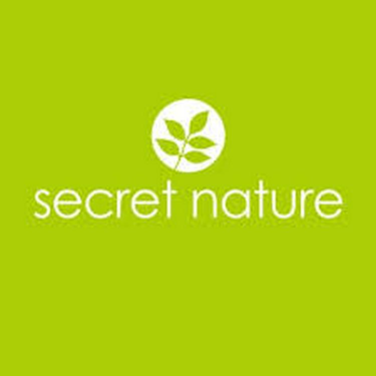 Nature secret. Nature’s Secret логотип. Secret nature корейская косметика. Secret nature. Green Cactus эссенция.