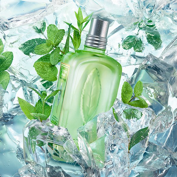 Аромат L'Occitane En Provence Verveine Menthe