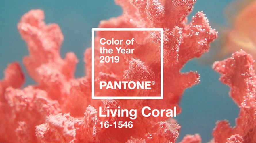 PANTONE 16-1546 Living Coral-цвет 2019 года