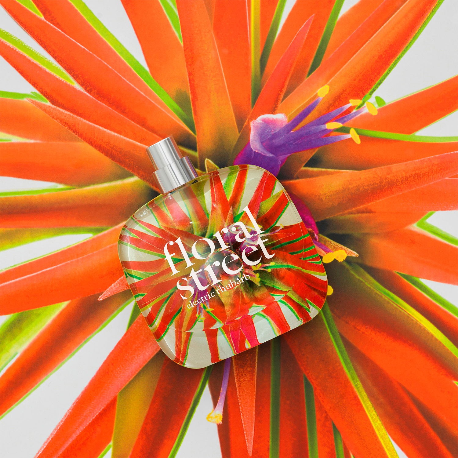 Новый аромат Floral Street Electric Rhubarb