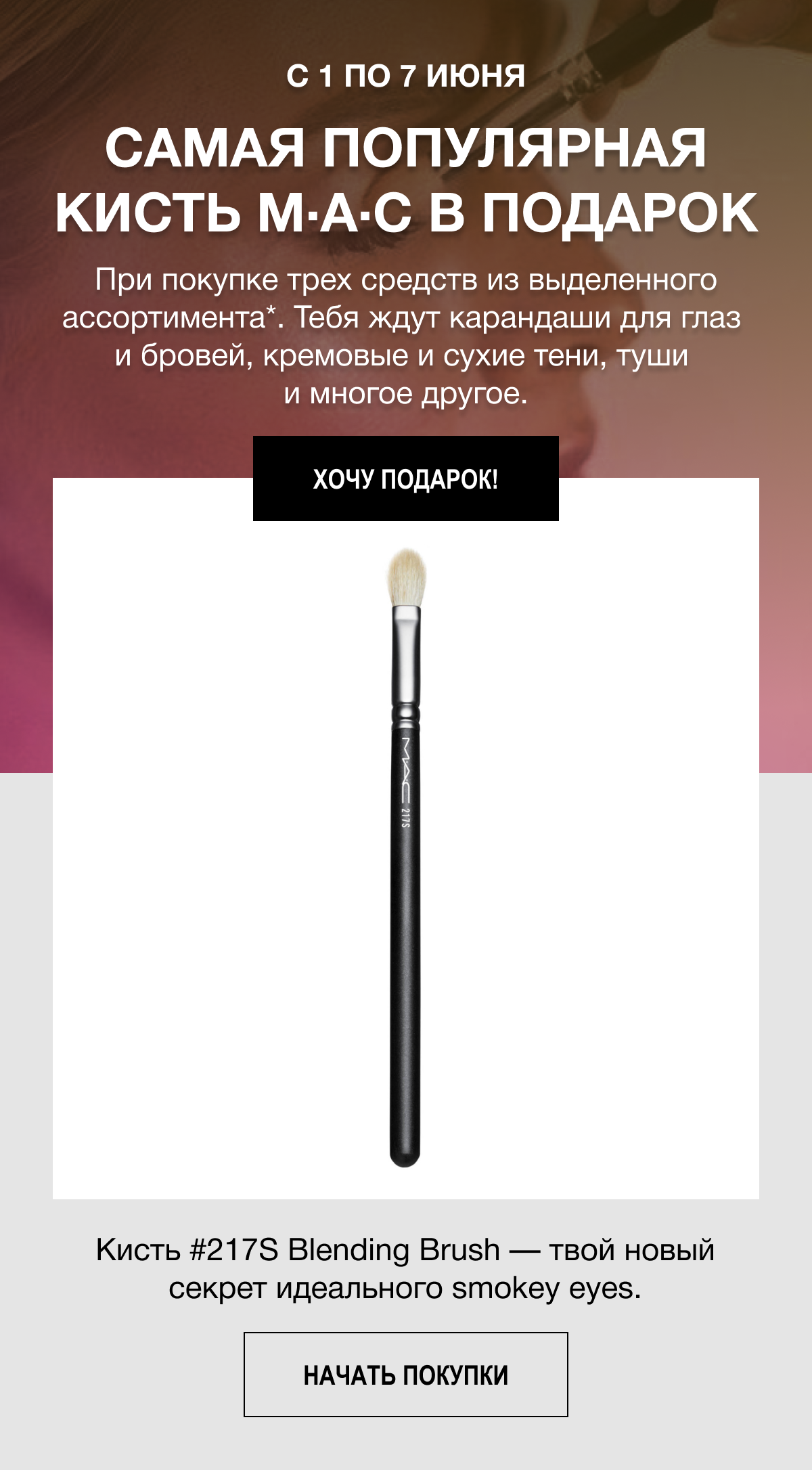 Легендарная кисть для макияжа глаз в подарок от MAC Cosmetics