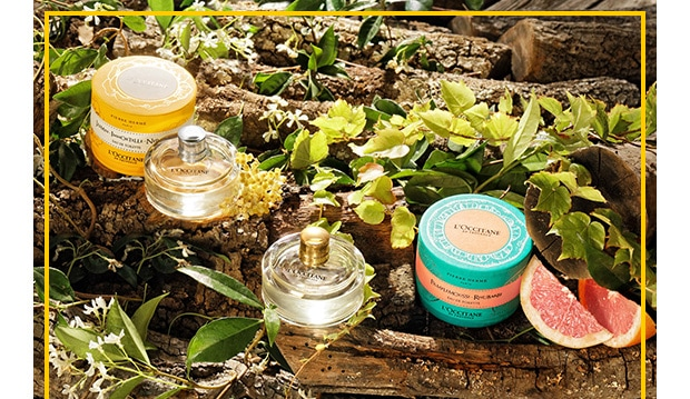 1+1=3! Любимых продуктов L'Occitane много не бывает!