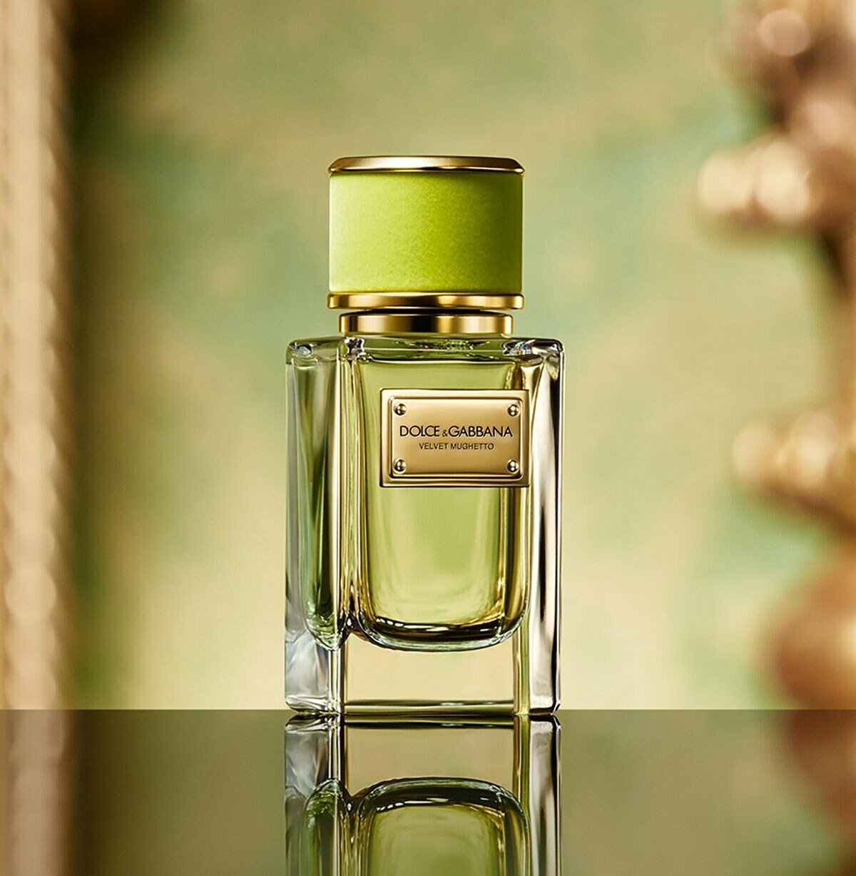 Новый аромат Dolce & Gabbana Velvet Mughetto