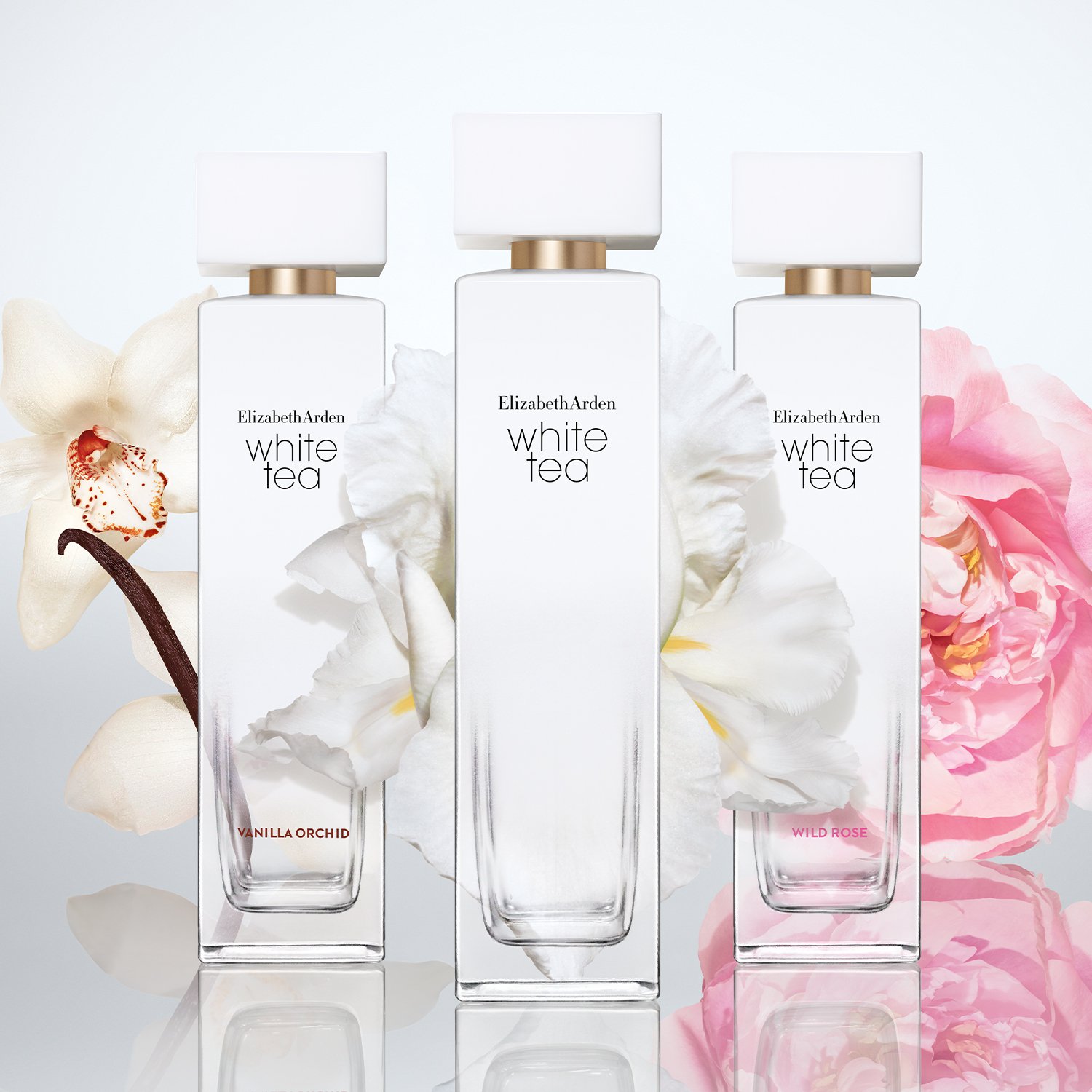 Коллекция ароматов White Tea Elizabeth Arden 2019