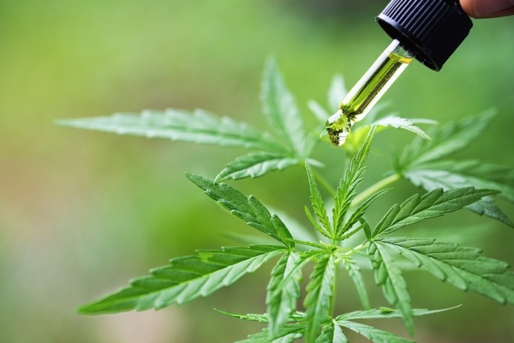 Производитель Flora Beauty подписало сделку о распространении CBD с Falabella