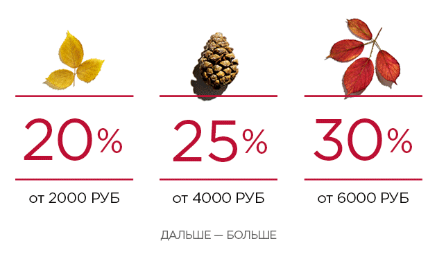 Осенний комплимент Clarins: от -20% за каждые 2000 рублей в заказе