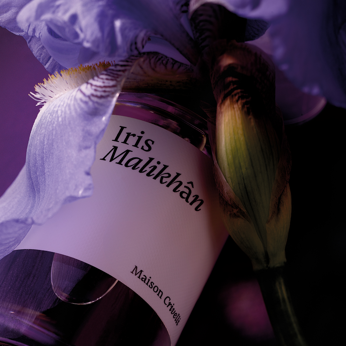 Новый аромат Iris Malikhan Maison Crivelli