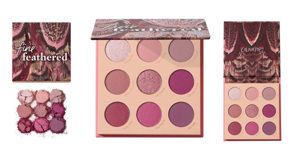 Палетка теней для век ColourPop Fine Feathered 