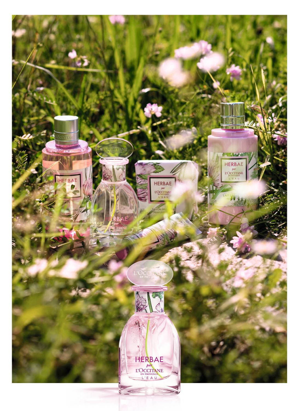 Коллекция Herbae L'Eau от L'Occitane