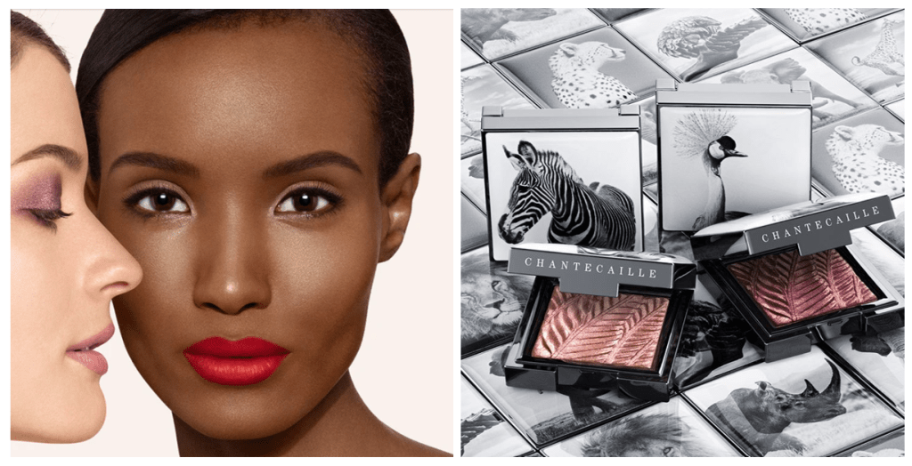 Осенняя коллекция Chantecaille Holiday 2020 