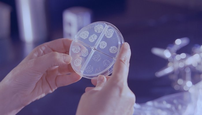 L'Oréal приобретает компанию Lactobio для расширения исследований микробиома