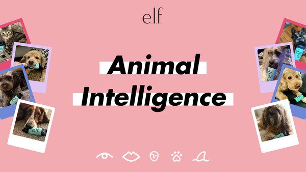 e.l.f. Cosmetics запускает кампанию Animal Intelligence