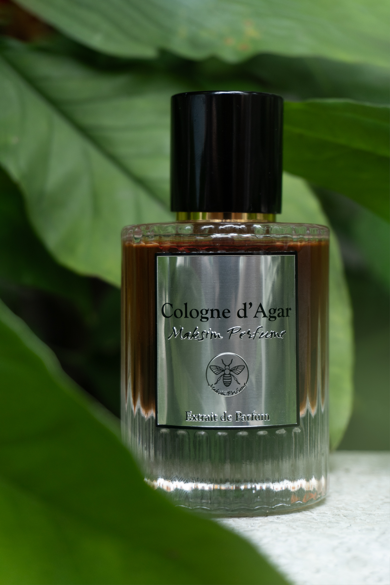 Новый аромат Maksim Cologne d'Agar