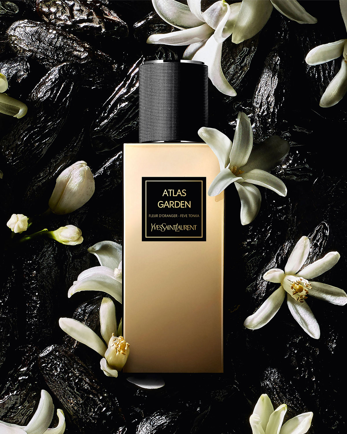Новый аромат Yves Saint Laurent Atlas Garden 