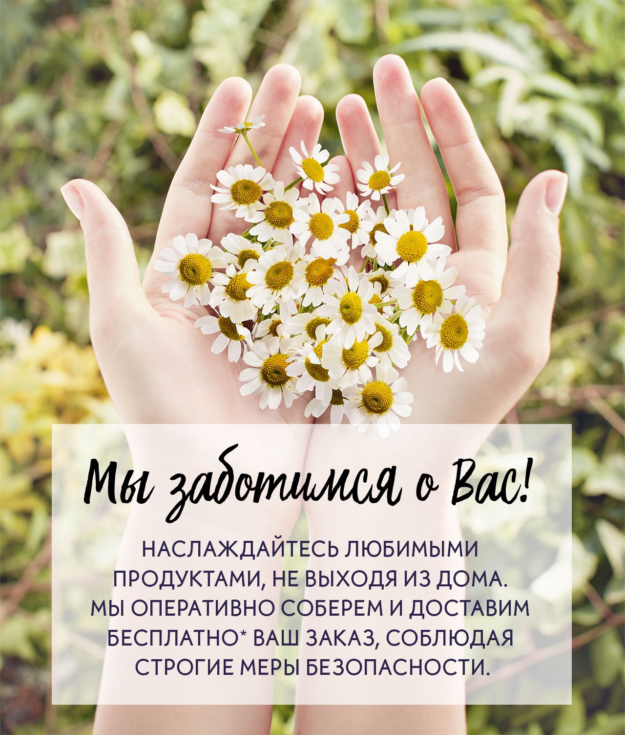 Весна = Новые подарки: сумка Little Marcel и многое другое от Yves Rocher!