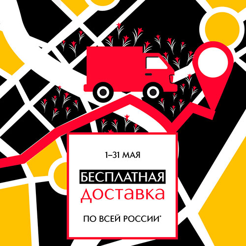Бесплатная доставка по всей России в Online-магазине ИЛЬ ДЕ БОТЭ!