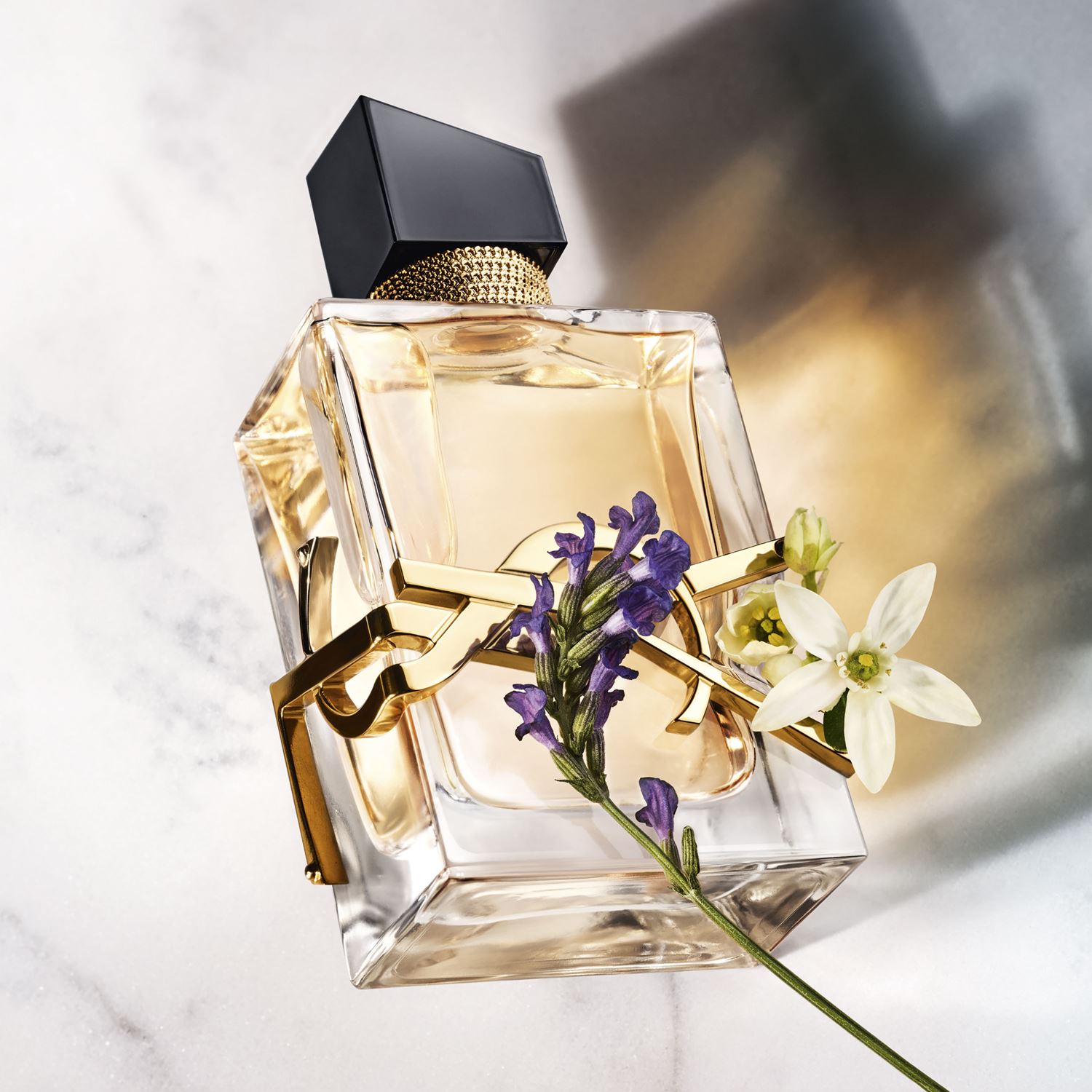 Новый женский аромат Libre Yves Saint Laurent 