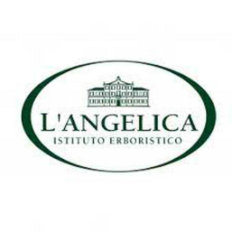 L'ANGELICA