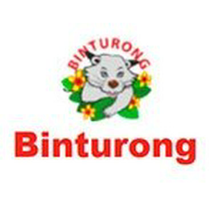 BINTURONG