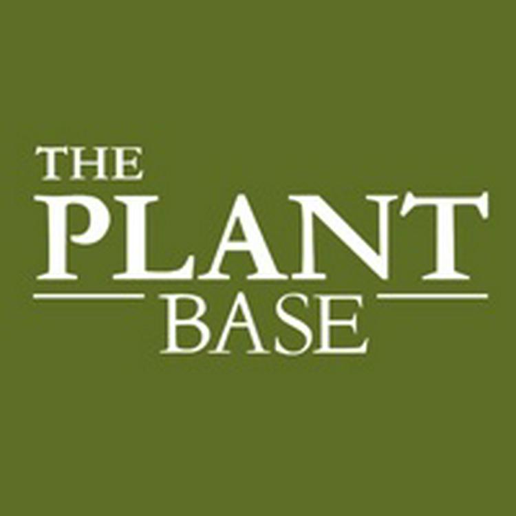 THE PLANT BASE