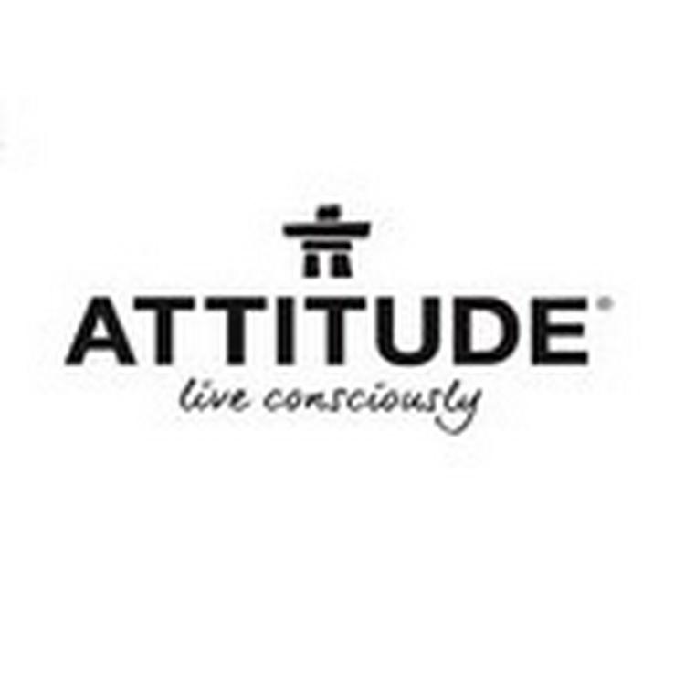 ATTITUDE