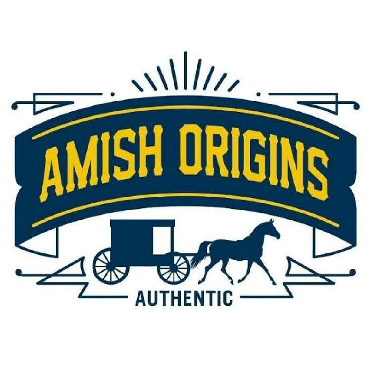 AMISH ORIGINS