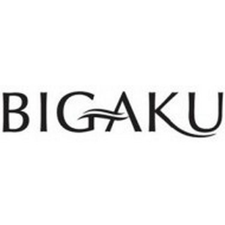 BIGAKU