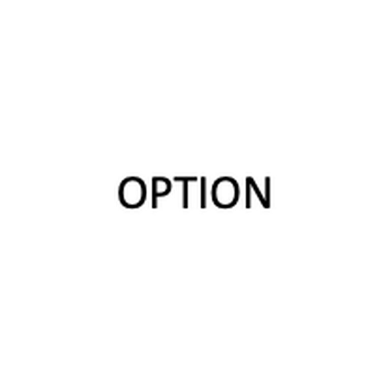OPTION