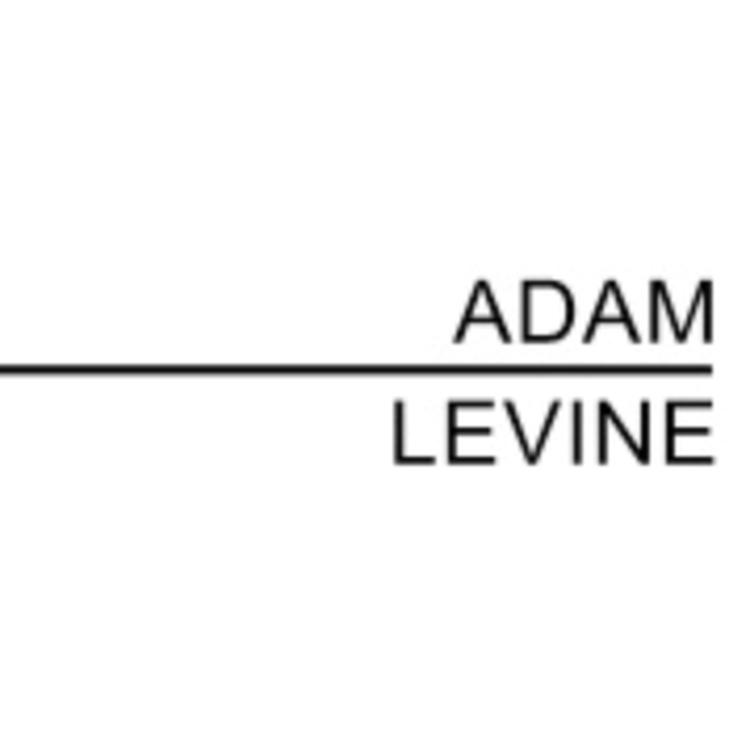ADAM LEVINE
